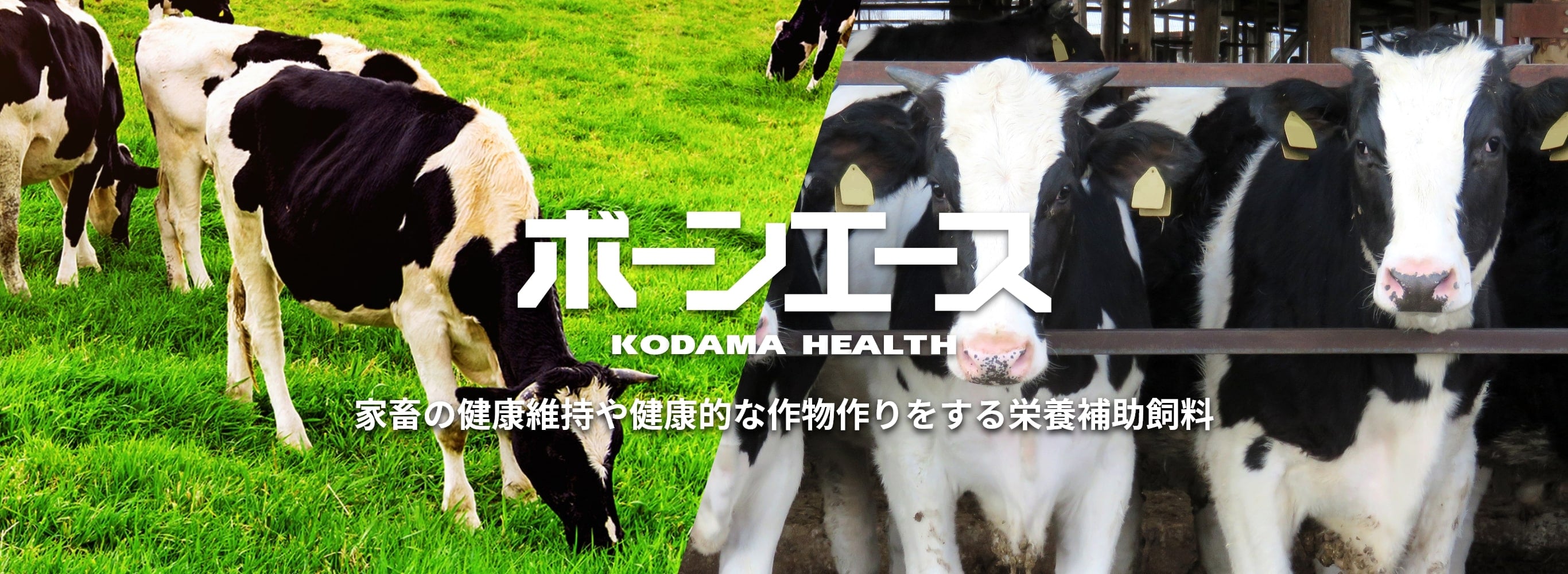 ボーンエース　家畜の健康維持や健康的な作物作りをする栄養補助資料